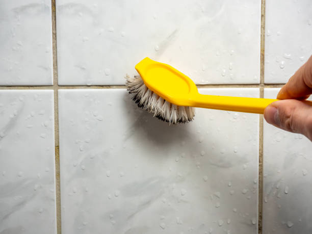 Best Mold Remediation  in Wolf Trap, VA