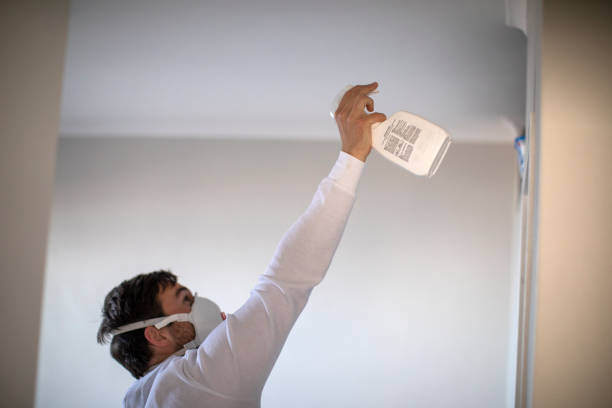 Best Mold Removal Company Near Me  in Wolf Trap, VA