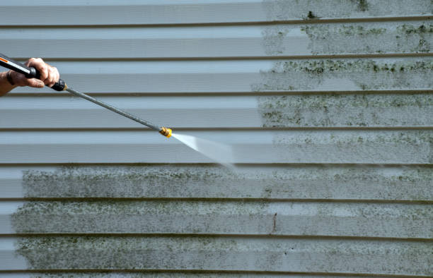 Best Mold Damage Repair  in Wolf Trap, VA