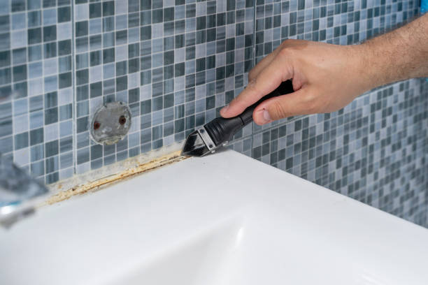  Wolf Trap, VA Mold Removal Pros
