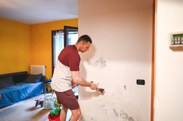 Best Mold Remediation  in Wolf Trap, VA